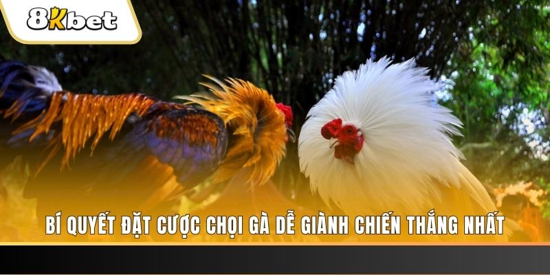 23win06 xổ số thứ hai hàng tuần