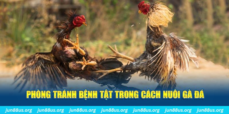 đăng nhập phỏm online